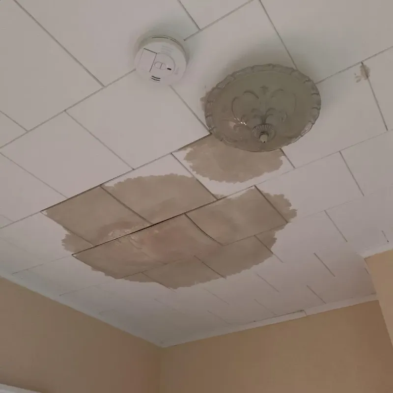 Ceiling Water Damage Repair in Topton, PA