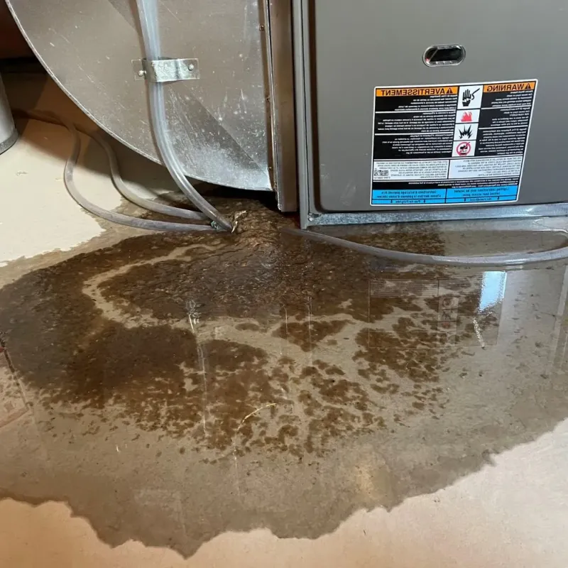 Pipe Burst and Leak Restoration in Topton, PA